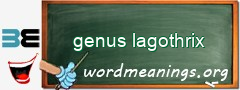 WordMeaning blackboard for genus lagothrix